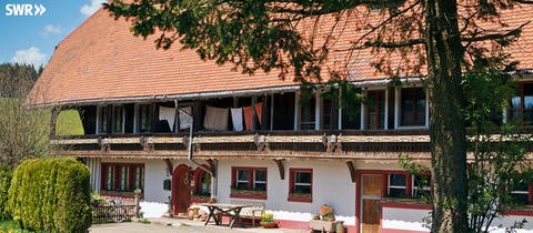 Frontalaufnahme des Fallerhof