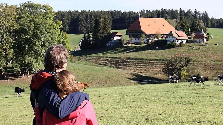 Die Hofgäste blicken von Ferne auf den Fallerhof