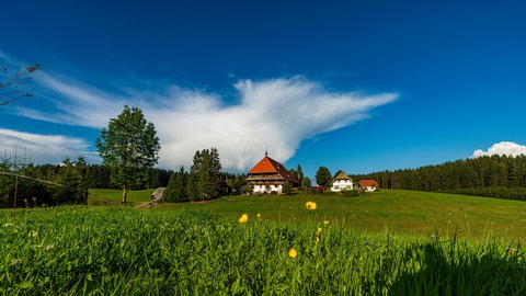 Der Fallerhof im Sommer