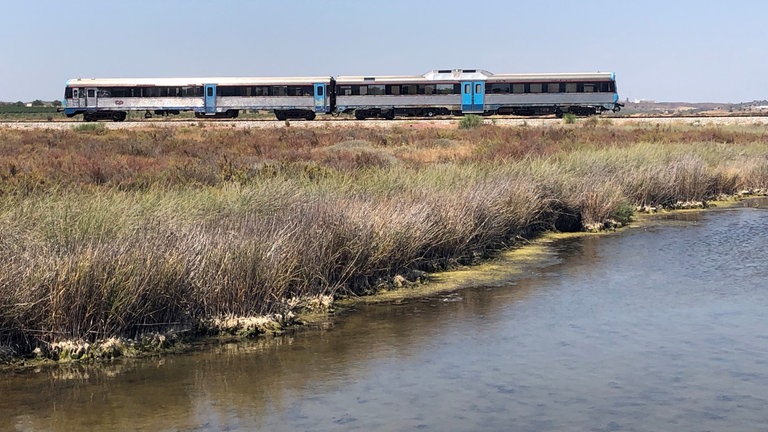 Das Meerwasser drückt sich über den Grenzfluss weit ins Hinterland rein. Links und rechts der Schienen staut es sich hier.