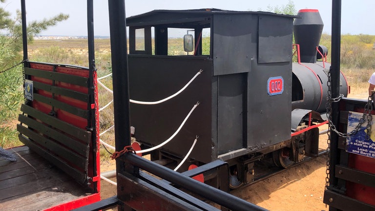 Hinter der Dampflok-Verkleidung verbergen sich die Reste von Dieselloks aus dem Bergbau im Alentejo. 