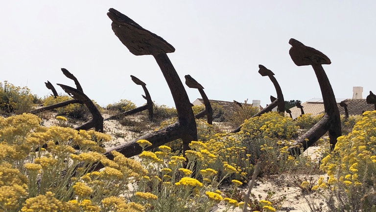 Ankerfriedhof am Strand Praia do Barril: Er erinnert an die Zeit, als an der Algarve in großem Umfang Thunfisch gefangen wurde.