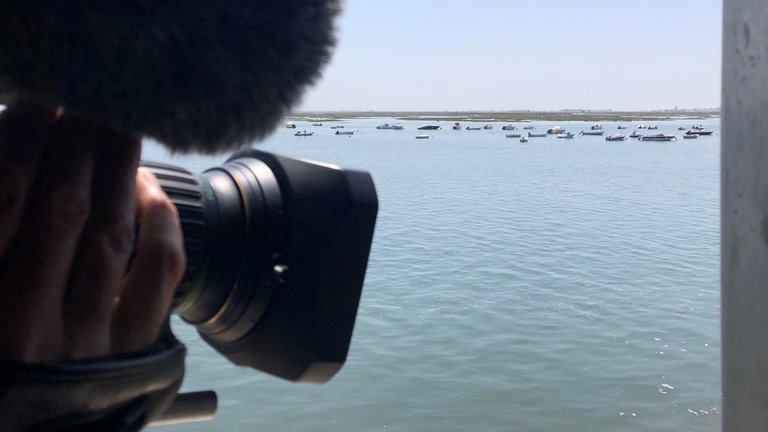 Freier Kamerablick aus dem Zug auf das Wasser.