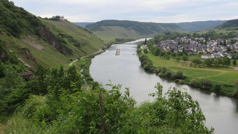 Blick auf die Moselschleife vom Pündericher Hangviadukt aus