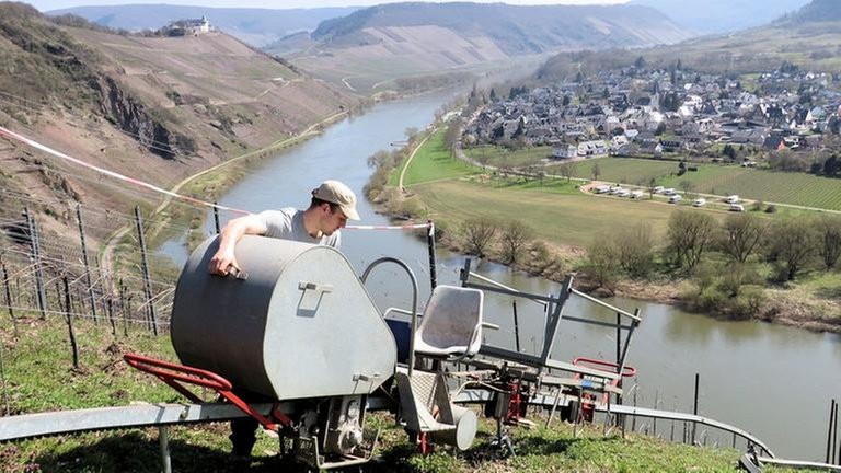 Blick auf die Moselschleife vom Pündericher Hangviadukt aus