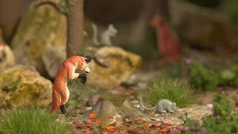 Bei BUSCH geht es in den Wald