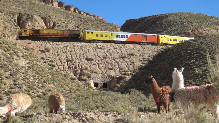 Tren al las nubes