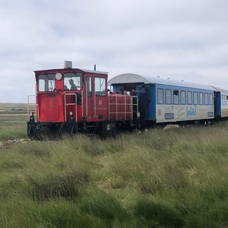 Die Inselbahn benötigt rund 15 Minuten für die Fahrt vom Fähranleger zum Bahnhof Wangerooge. Die Fahrt geht dabei hauptsächlich durchs Naturschutzgebiet. Einzig der Zug darf hier das Naturschutzgebiet „betreten.“