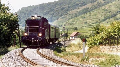 Im Bummelzug entlang an Weinbergen und Donauwellen