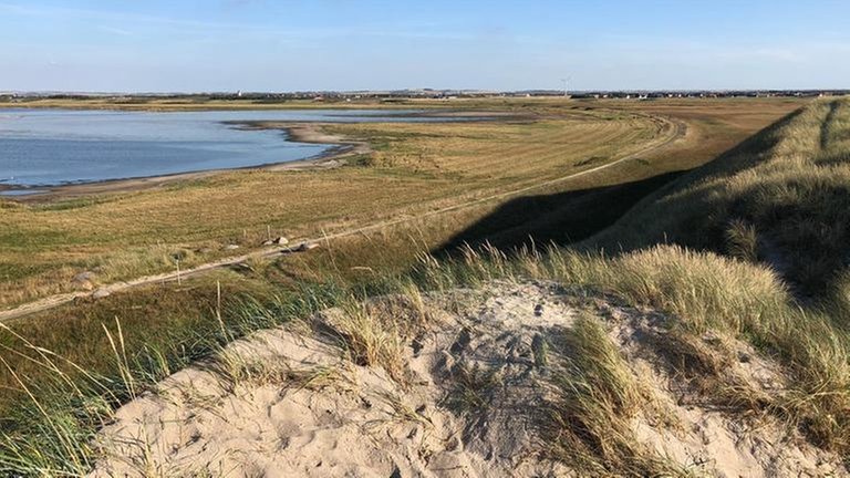 Der Radweg heute liegt genauso wie die Schienen früher direkt hinter der hohen Düne am Meer.