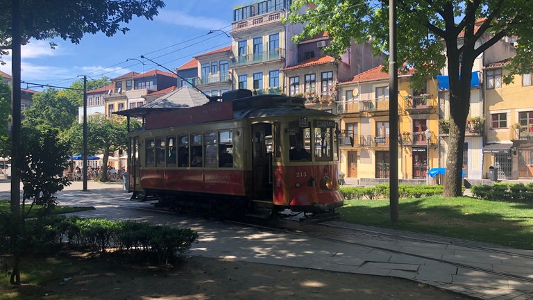 Straßenbahn im Park Jardim da Cordoaria