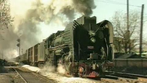 Ein schwerer Güterzug im Vorortbahnhof.