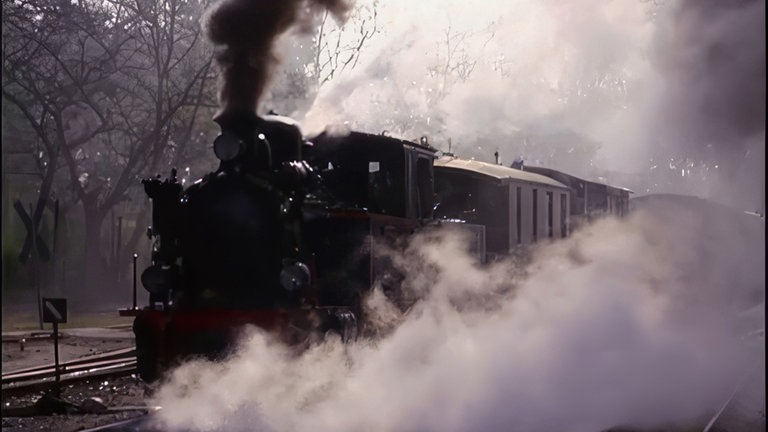 Die historische Schmalspurbahn ist von ihrem eigenen Dampf eingehüllt.