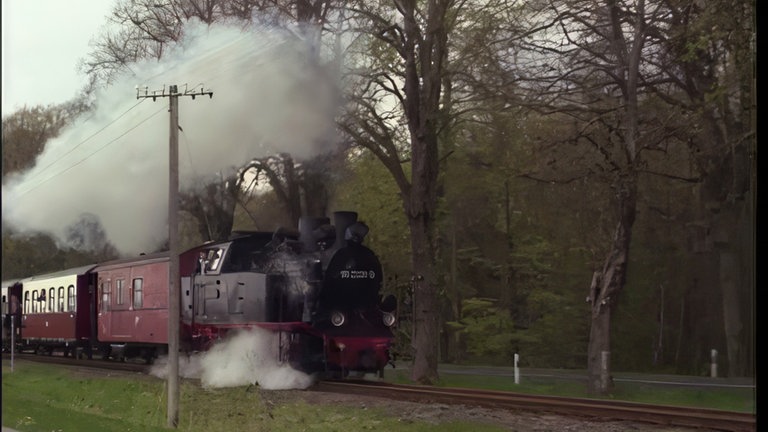 Die Schmalspurbahn in Fahrt.