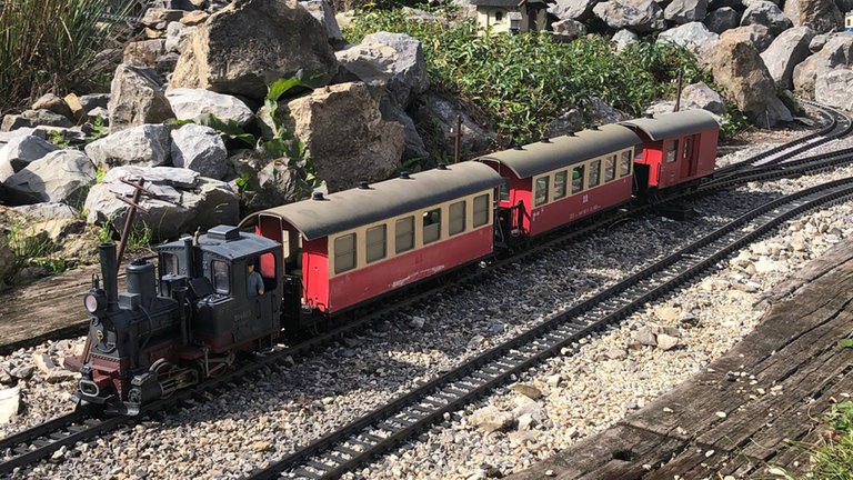 Ein Zug aus dem Harz.