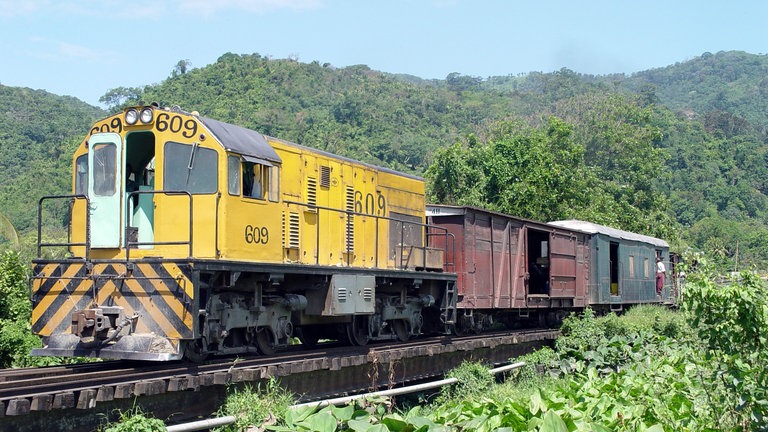 Bananenzug Honduras