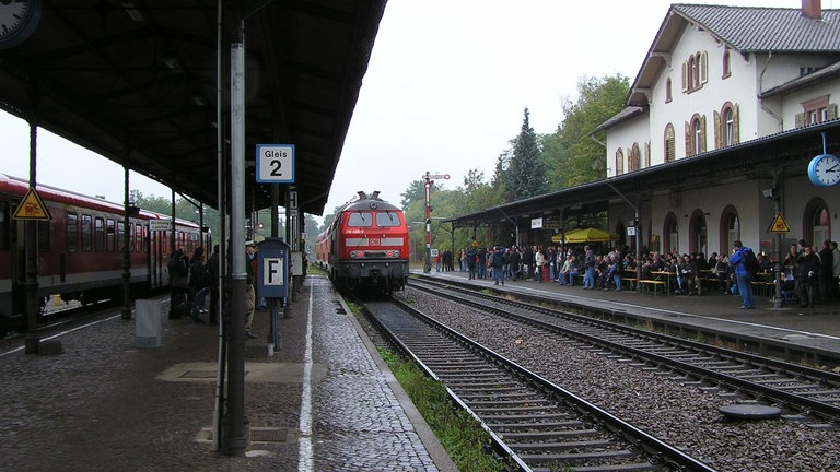 Impressionen aus dem Plandampf 2005
