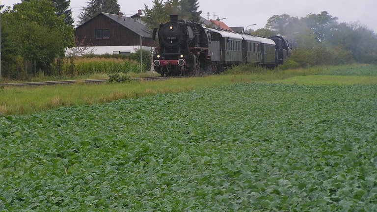 Impressionen aus dem Plandampf 2005
