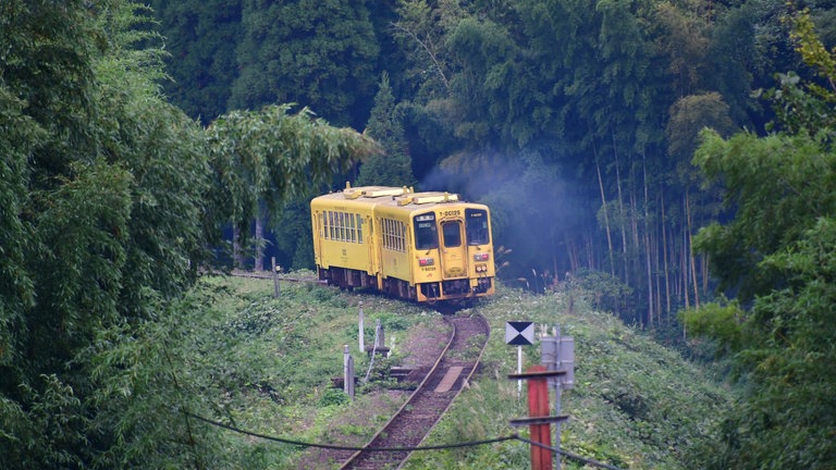 Auf vielen Nebenstrecken sind oft kleine, kurze Triebwagen unterwegs - offenbar loht auch der Betrieb sehr kurzer Einheiten.