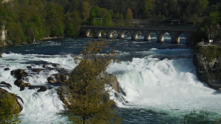 Rheinfall bei Schaffhausen