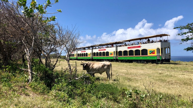 Die Aussichtswagen sollen auch weiterhin genutzt werden. Vielleicht werden die neuen, leistungsstärkeren Loks mal mehr davon ziehen können. 
