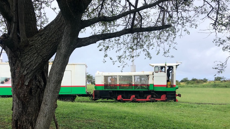 Die alten Lyd2-Dieselloks arbeiten noch wie Dampfloks mit Stangenantrieb. Die neu sanierten der Baureihe Lxd2 sollen durch ihre Drehgestelle sanfter um die Kurven fahren. 