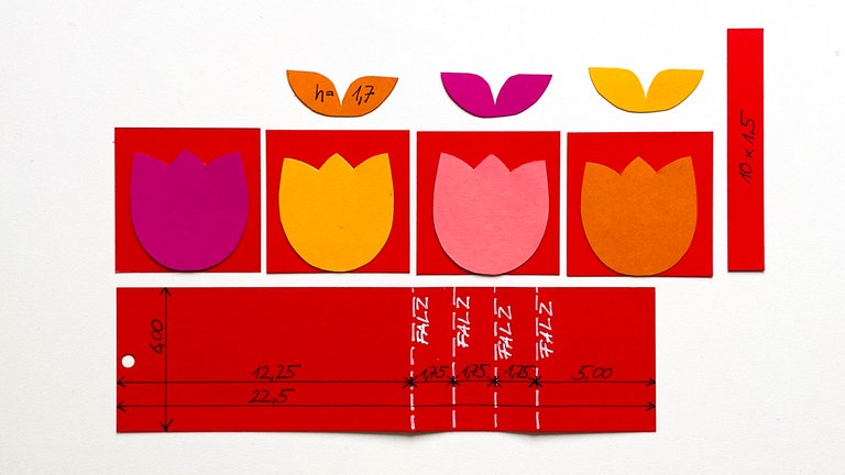 Die 4 Tulpen auf die 4 Kärtchen kleben.