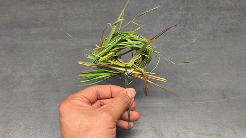 Blumenwiese für den Tisch