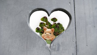 Kleeblatt und Schwein schauen durch ein Herz-Loch