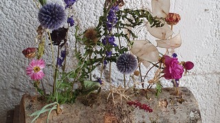 Trockenblumen auf Holz