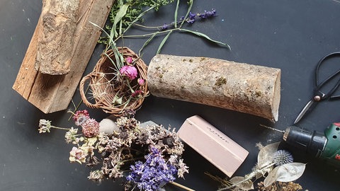 Trockenblume auf Holz