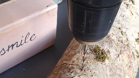 Trockenblume auf Holz