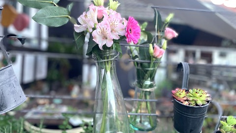 Vasen zum Aufhängen