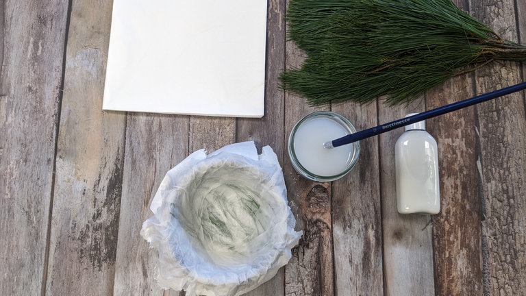 Vorsichtig ein weiteres Kosmetiktuch auf die Kiefernnadeln legen und wieder mit der WasserKlebermischung bepinseln. 