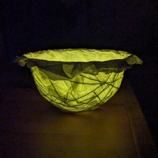 Windlicht aus Kiefernnadeln