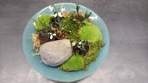 Winterliche Dekoration mit Schneeglöckchen, Moos, Ästen und Zweigen