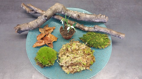 Winterliche Dekoration mit Schneeglöckchen, Moos, Ästen und Zweigen