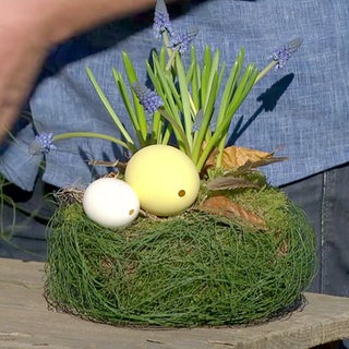 Osterkorb mit Eiern und Federn