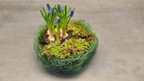 Osterkorb mit Frügblühern, Eierschalen und Federn