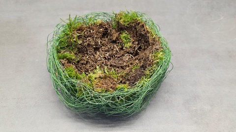 Osterkorb mit Frügblühern, Eierschalen und Federn