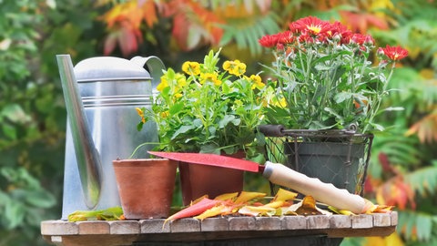 Gartenarbeit im Herbst