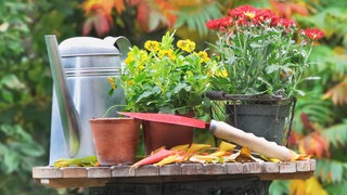 Gartenarbeit im Herbst