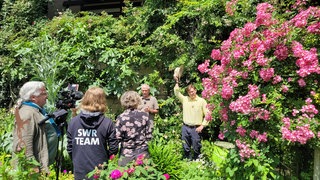 Dreharbeiten im Riedgarten mit James Foggin