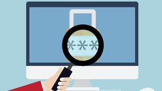 Computer-Bildschirm auf dem ein Schloss zu sehen ist. Eine Hand hält eine Lupe darüber, durch die Sternchen zu sehen sind.