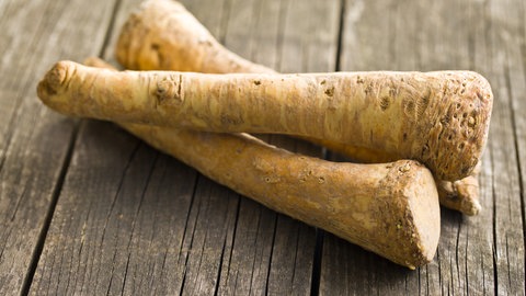 Meerrettichwurzel