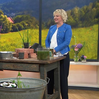 Miniteich für Balkon oder Terrasse