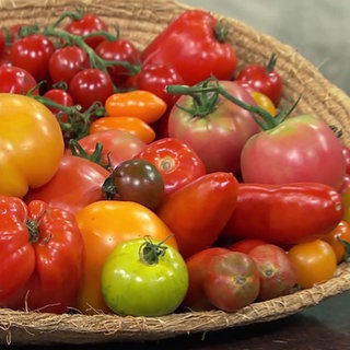 Tomaten
