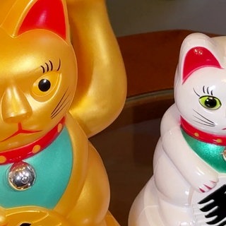 Katzinett in Ludwigshafen