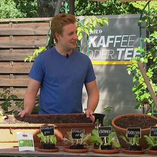 Bio Landwirt Frank Lutz