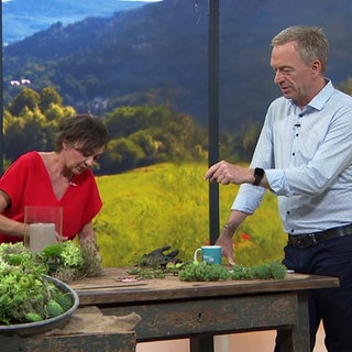 Moderator Martin Seidler und Floristin Jasmin Centner beim Gestalten eines grünen Tischkranzes